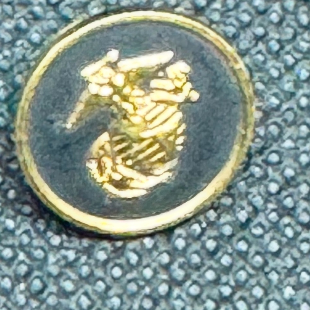 Antique United States Marine Corps Lapel Pin WWII POW Veteran Pin